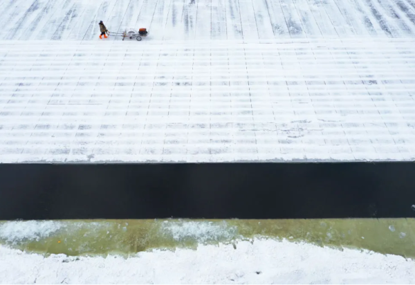 【新华社报道】哈尔滨的冰，究竟是怎么采的？