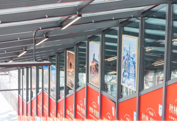 宠客不停歇！哈尔滨冰雪大世界把摄影展搬进防风暖棚