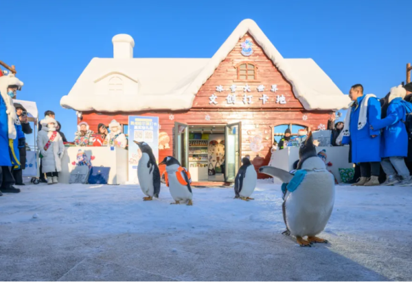 萌鹅出动 “淘学企鹅”打卡冰雪大世界文创打卡地