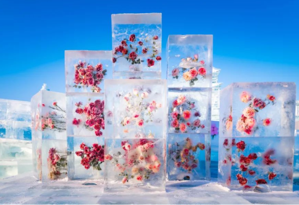 哈尔滨冰雪大世界里，这些精美的景观，让人一眼心动！