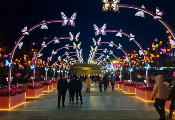 超梦幻！哈尔滨冰雪大世界又添网红打卡点，“蝴蝶长廊” 你值得拥有！
