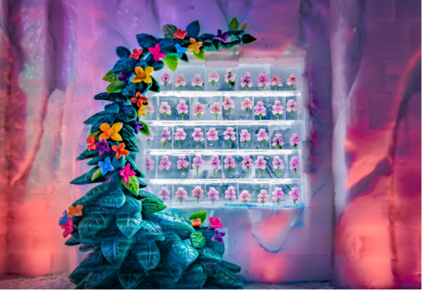 如此好看的梦幻冰雪馆，让我康康是谁又要被圈粉了？！