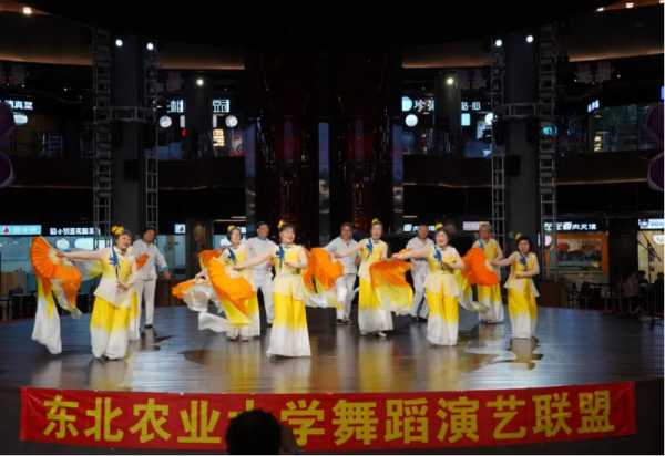 哈尔滨冰雪大世界公益演出系列活动持续进行中