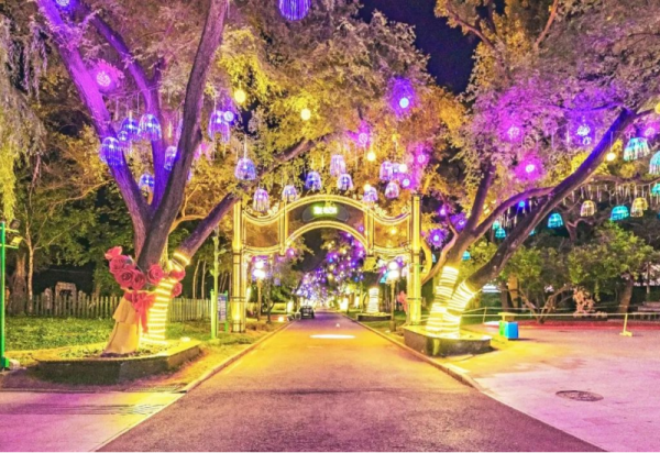 “一路芳心” 铺就通向《遇见・哈尔滨》大型江上沉浸式演出的浪漫