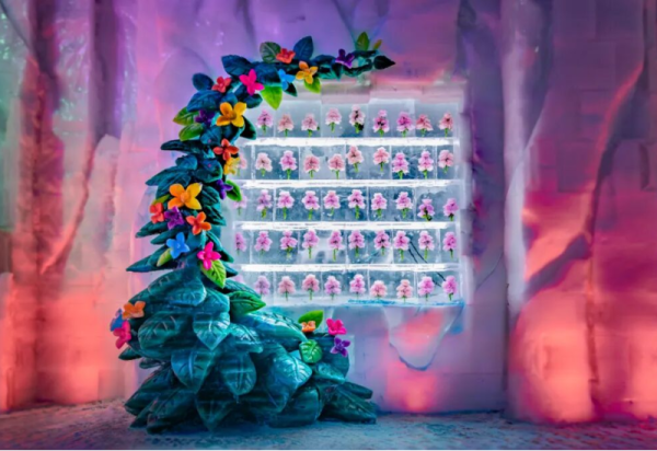 特惠倒计时！致2025级高校新生的开学礼，100元畅游梦幻冰雪馆！