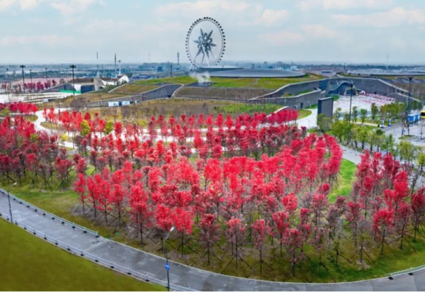 当初雪遇到枫叶 哈尔滨冰雪大世界的独特浪漫等你赴约