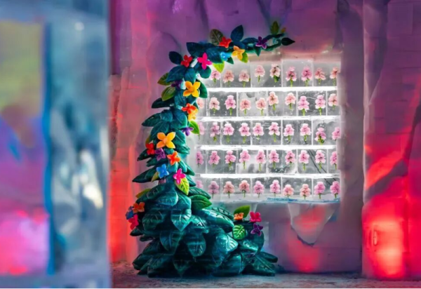 一键收藏！来哈尔滨冰雪大世界过个“好看好吃又好玩”的周末！