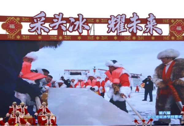【媒体关注】特写：“尔滨”的火热，从采冰开始
