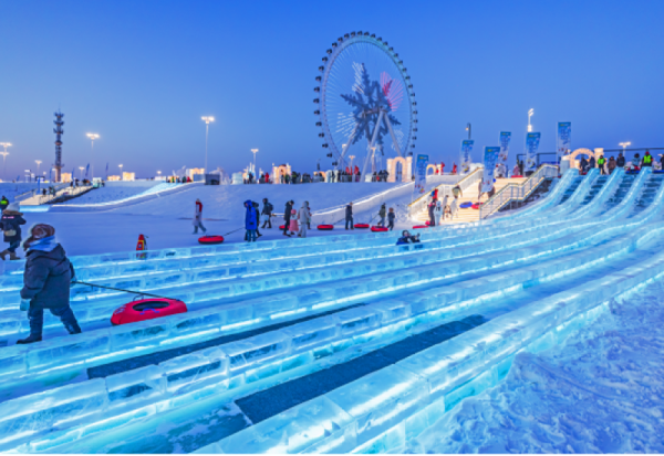 哈尔滨冰雪大世界藏着免费快乐！这些宝藏项目不玩亏大了！