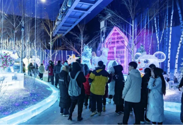 第二期哈尔滨文旅消费券来啦 畅玩梦幻冰雪馆+雪花摩天轮仅需160元